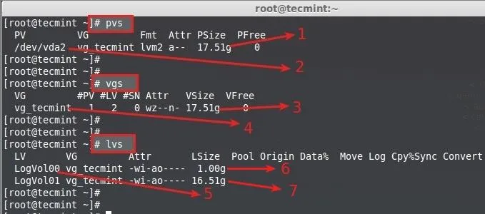 Check Physical Volumes