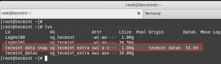 Check Snapshot Status