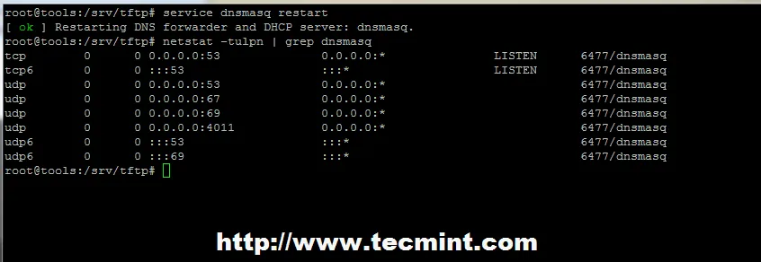 Start Dnsmasq Service