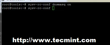 Enable DNSMASQ Daemon