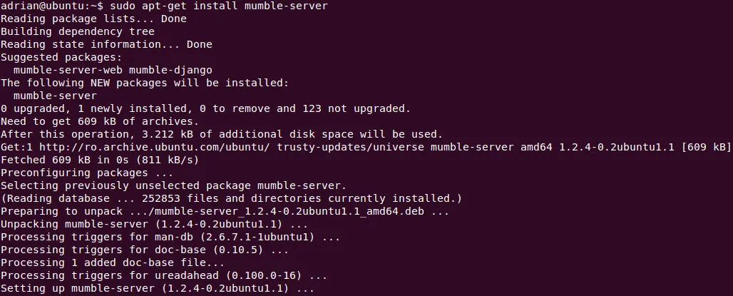 mumble install