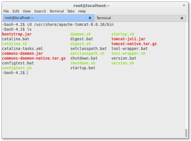 查找文件 catalina.sh