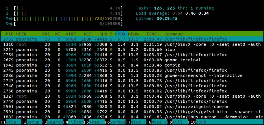 htop output