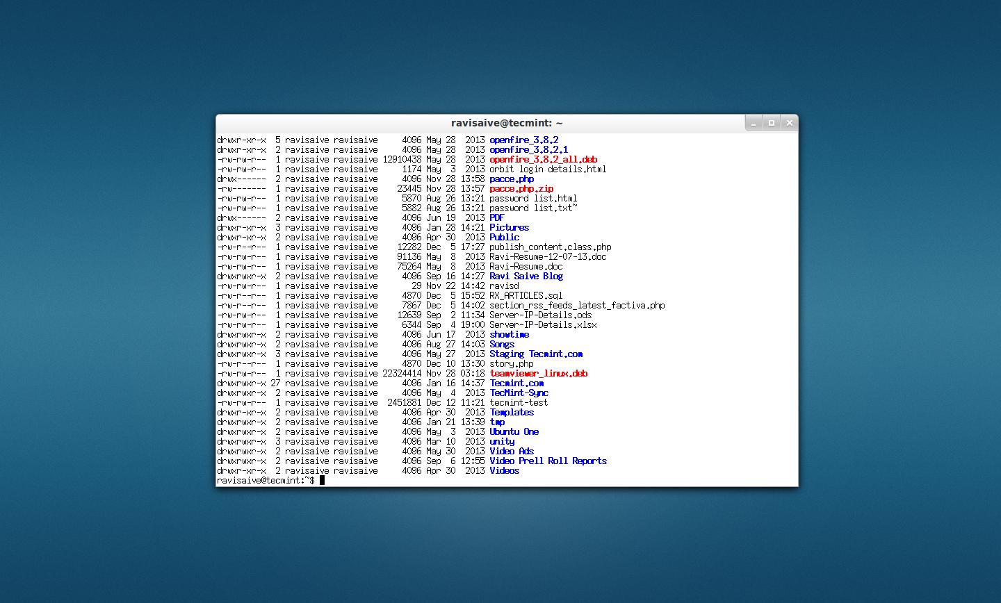 wterm Terminal