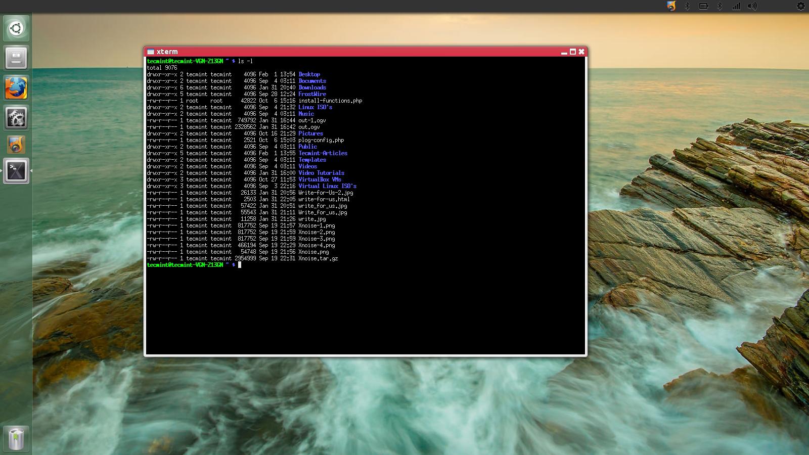 xterm Terminal