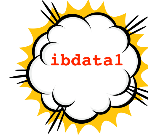 ibdata1 file