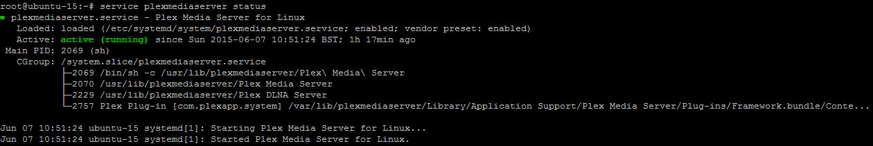 Plexmediaserver Service
