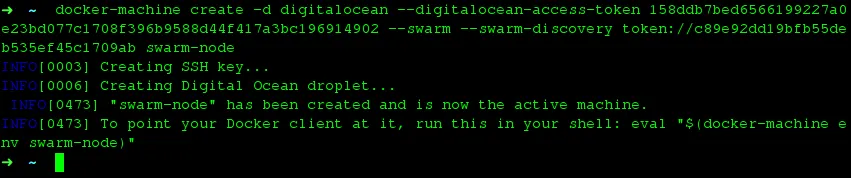 Docker Machine Swarm Nodes