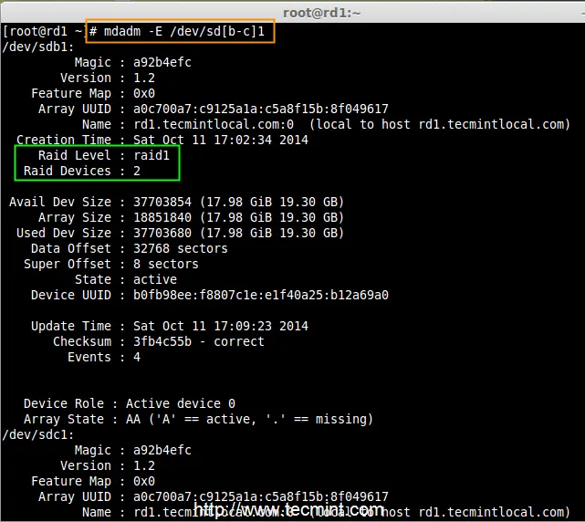 Check RAID Device type
