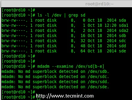 Verify 4 Added Disks
