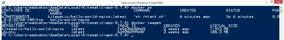 Docker CLI PowerShell