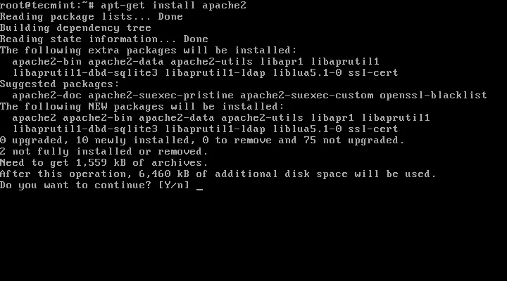Install Apache Web Server