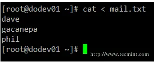 Linux cat command examples