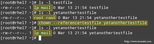 Clone File Ownership