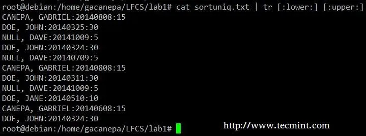 Sort Strings in File