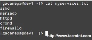 Script to Monitor Linux Services
