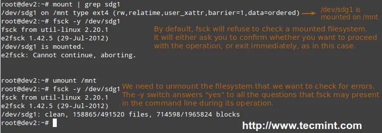 Scan Linux Filesystem for Errors