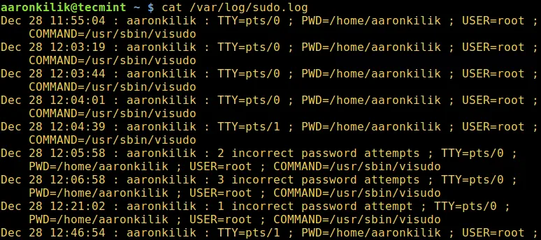 Create Custom Sudo Log File