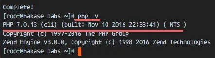 查看 PHP 版本号