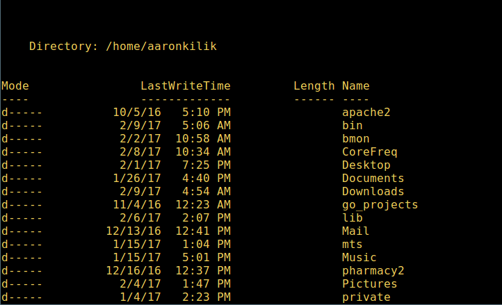 Directory Long Listing in Powershell