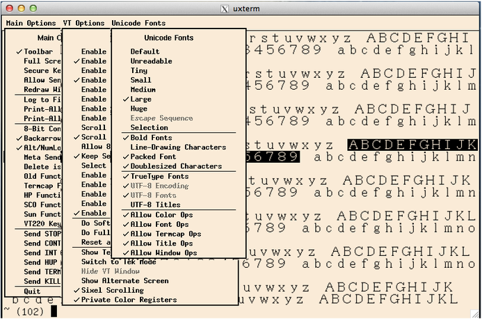 xterm linux terminal