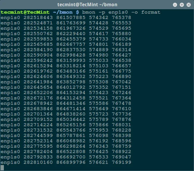 bmon - Format 输出模式