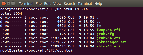 EFI 分区内容