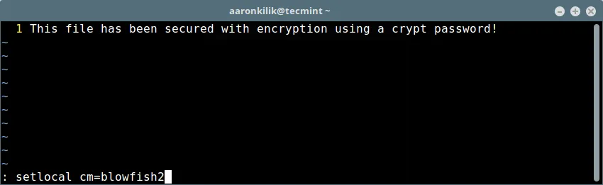 Set Strong Encryption on Vim File