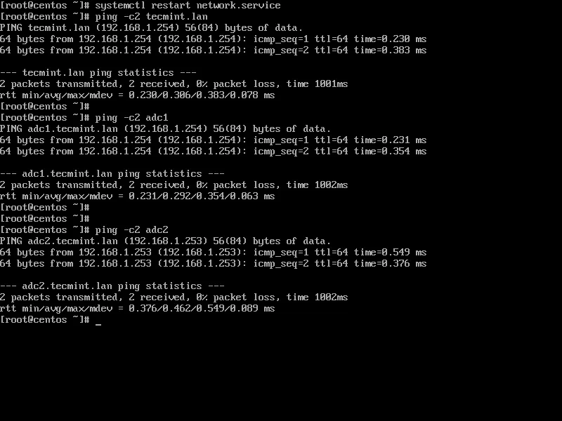 Verify DNS Resolution on Domain
