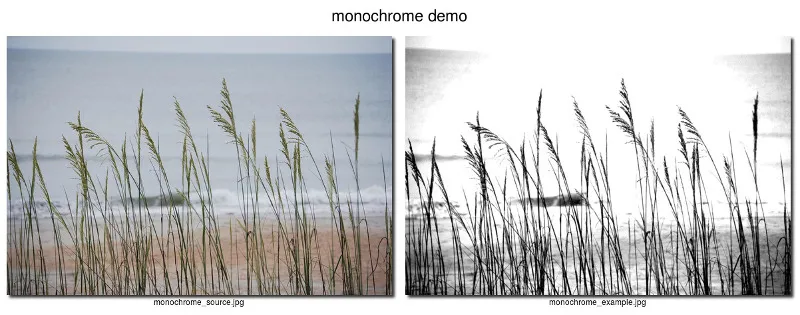 monochrome example monochrome example