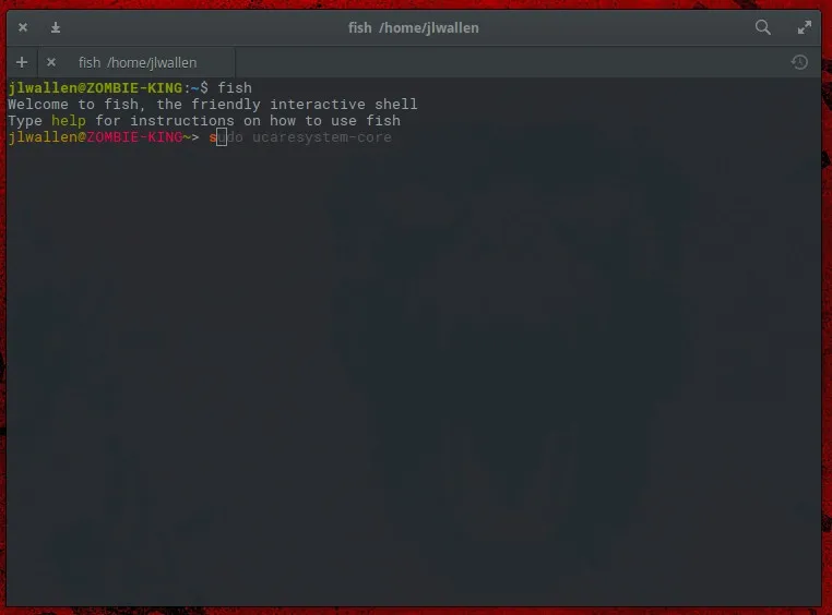 fish shell fish shell