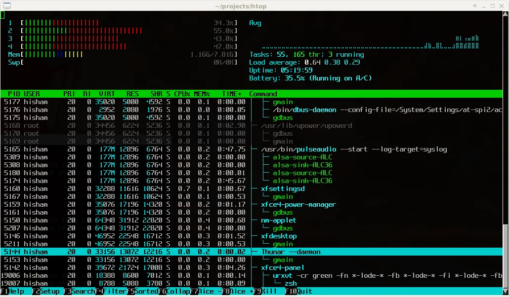 htop linux processes monitoring tool