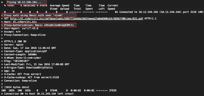 Fig.01:curl in action (click to enlarge)