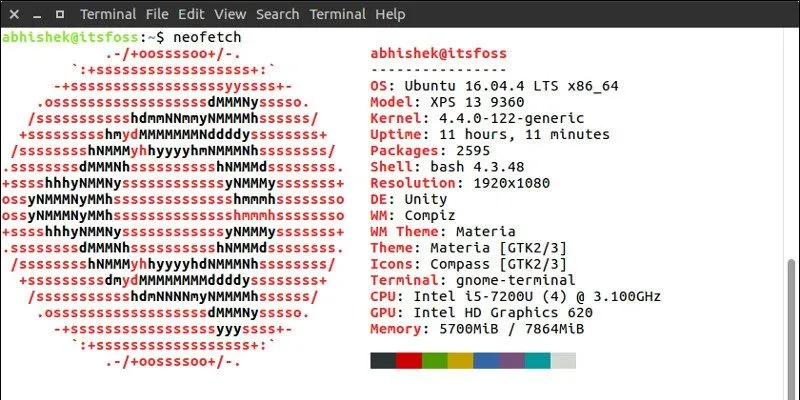 System information in Linux terminal