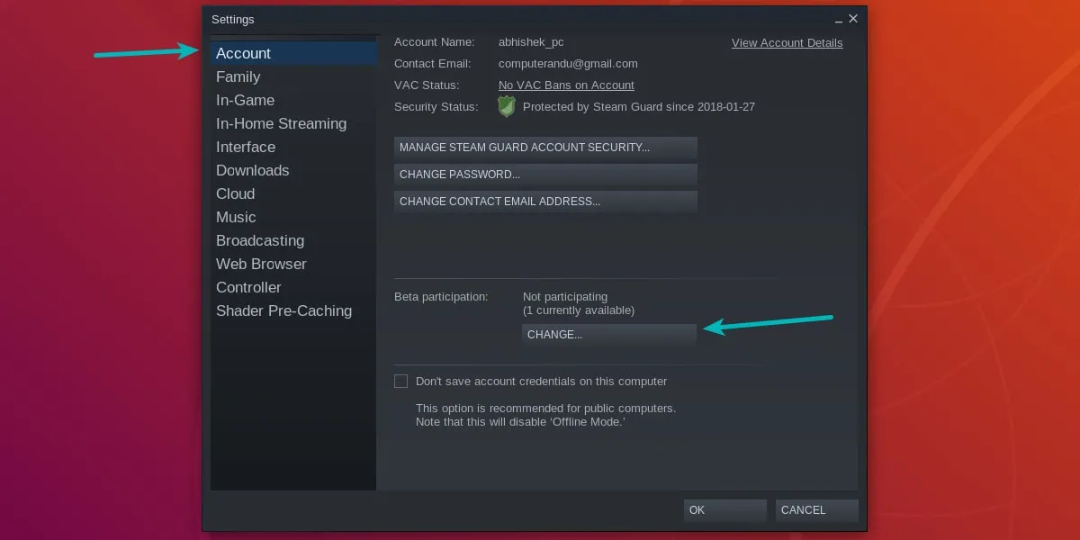 Enable beta feature in Steam Linux