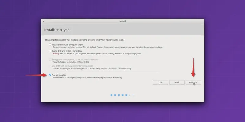 Replacing one Linux with another from dual boot