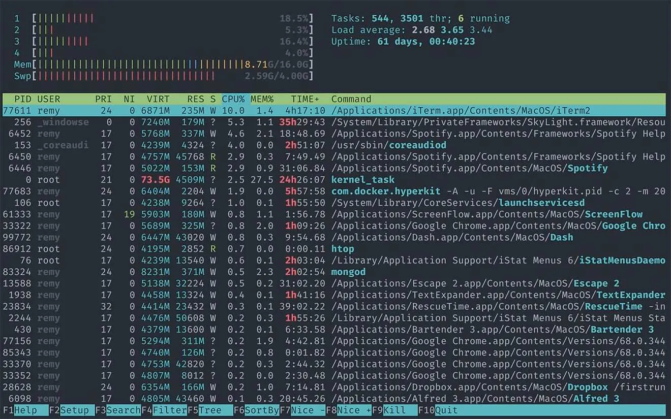 htop output