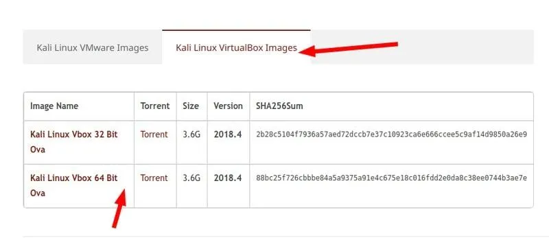 Kali Linux Virtual Box Image
