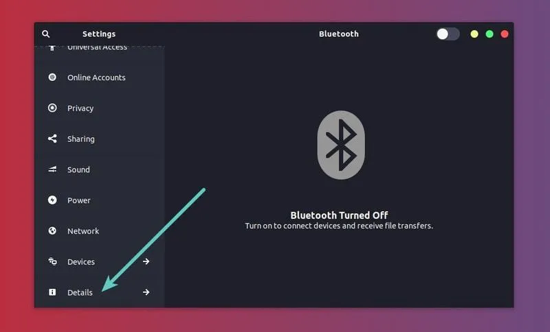 在 Ubuntu GNOME Settings 中进入 Details