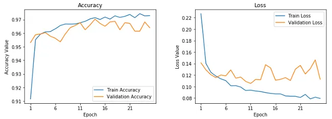 Learning curves for fine-tuned pre-trained CNN Learning curves for fine-tuned pre-trained CNN