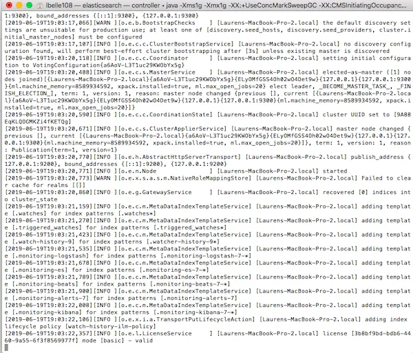 Terminal output when running Elasticsearch.