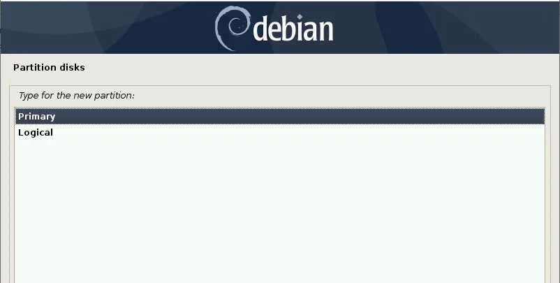 磁盘主分区-Debian10