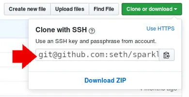 Cloning a URL on GitHub