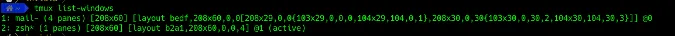 tmux layout information