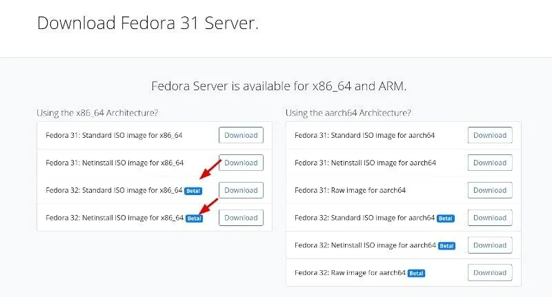 Fedora Download Beta