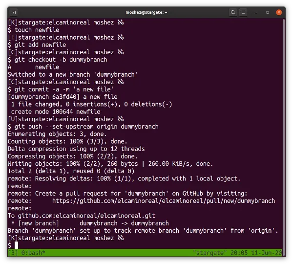 Moshe Zadka's terminal