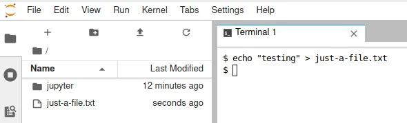 Terminal in Jupyter remote console Terminal in Jupyter remote console