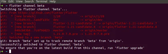 flutter channel beta output