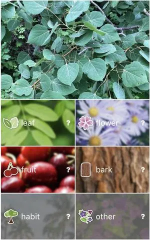 Selecting plant type to identify
