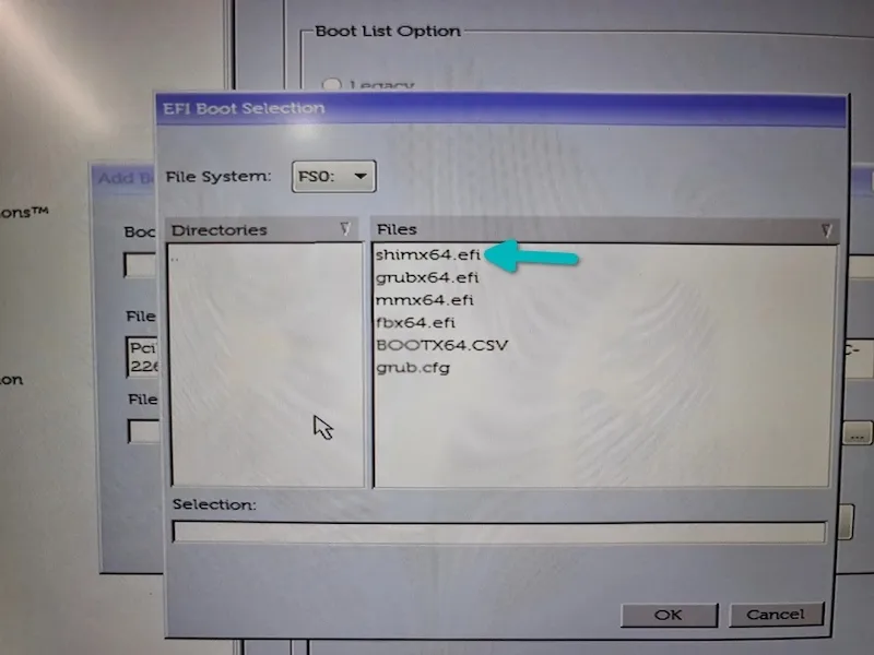 选择 shimx64.efi